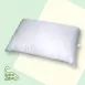 高品質石墨烯枕(須選宅配)